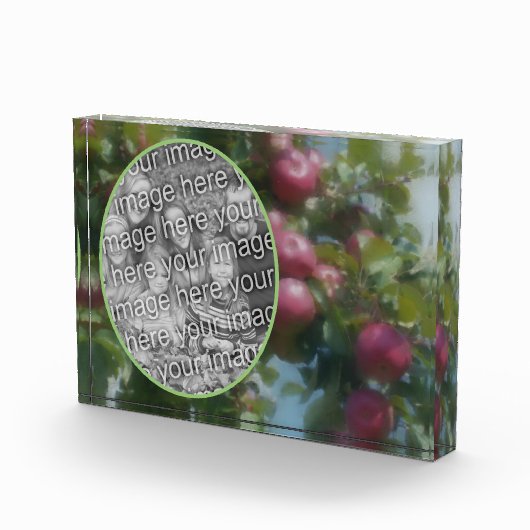 Rode appels op boom schilderen Voeg je eigen Fotoblokken (Rechts)