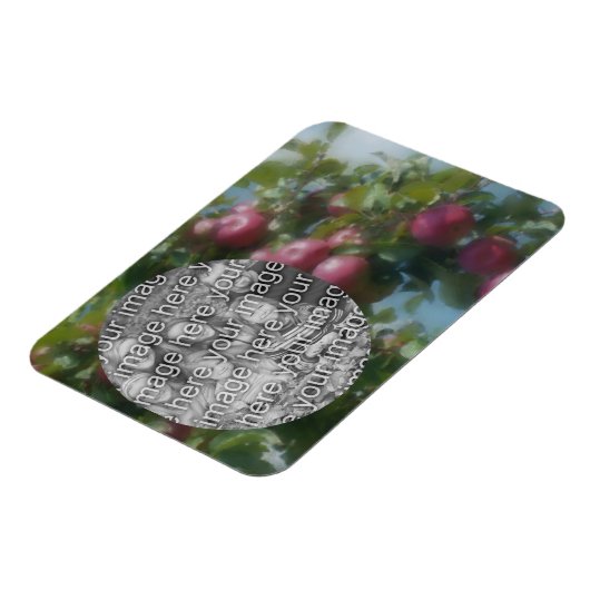 Rode appels op boom schilderen Voeg je foto toe Magneet (Linkerzijde)