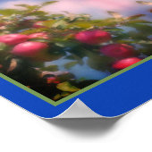 Rode appels op boomfoto schilderij Abstract Poster (Hoek)