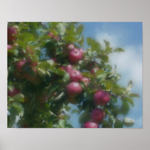Rode appels op boomfoto's poster