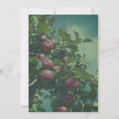 Rode appels op de Natuur van de bomen Kaart (Achterkant)