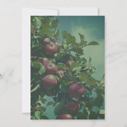 Rode appels op de Natuur van de bomen Kaart (Achterkant)