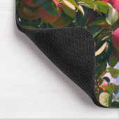 Rode appels op de Natuur van de bomen Muismat (Hoek)