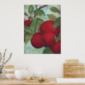 Rode appels op groen poster (Keuken)