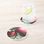 Rode appels op het Onderzetter van de Natuur van b (Zijkant)