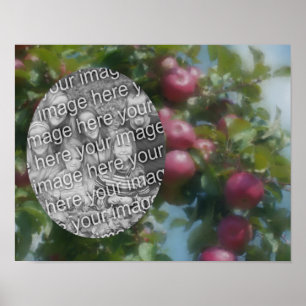 Rode appels op Tree Art Creëer Uw eigen foto Poster