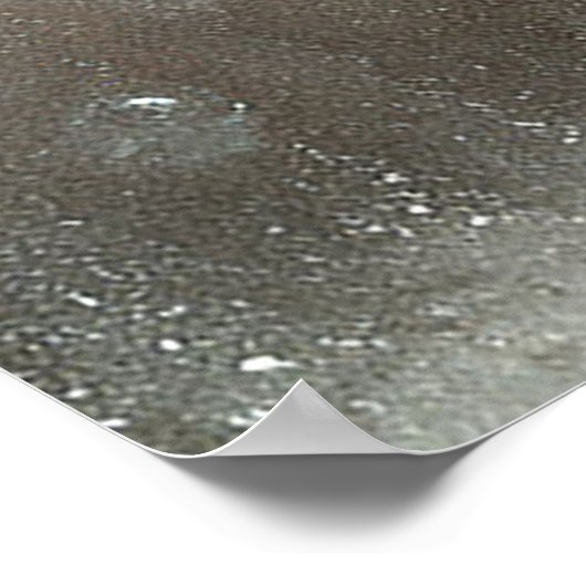 Rode appels poster (Hoek)