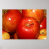 Rode appels poster (Voorkant)