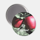 Rode appels zijn andere Motivatie magneet (Voorkant / Achterkant)