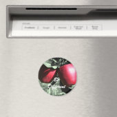 Rode appels zijn andere Motivatie magneet (Insitu (Vaatwasser))