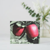 Rode appels zijn verschillende Inspirerend Briefka Briefkaart (Staand voorkant)