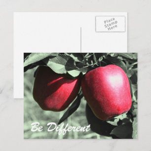 Rode appels zijn verschillende Inspirerend Briefka Briefkaart