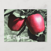 Rode appels zijn verschillende Inspirerend Briefka Briefkaart (Voorkant)