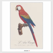 Rode Ara of Blauw-gele Ara, Ara macao Sticker (Vel)