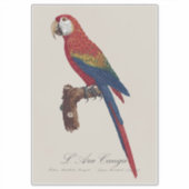 Rode Ara of Blauw-gele Ara, Ara macao Sticker (Voorkant)