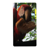 Rode Ara Papegaai Eet Toast Etiket (Voorkant)