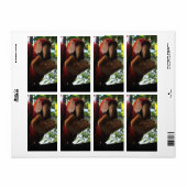 Rode Ara Papegaai Eet Toast Etiket (Full Sheet)