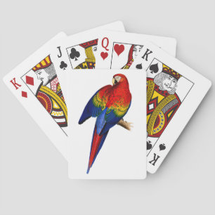 Rode Ara Tropische Kleurrijke Regenwoud Vogel Pokerkaarten