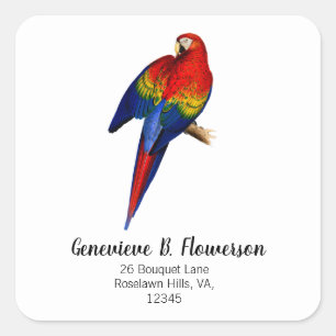 Rode Ara Tropische Kleurrijke Regenwoud Vogel Vierkante Sticker