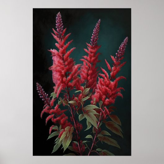 Rode Astilbe Bloem Kunstprint Poster (Voorkant)
