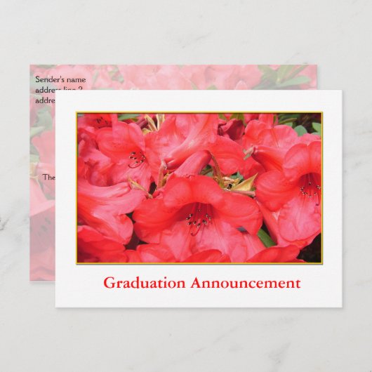 Rode azalea bloemen afstuderen aankondiging (Voorkant / Achterkant)