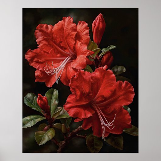 Rode Azalea Bloemen Kunstprint Poster (Voorkant)
