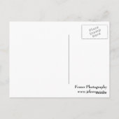 Rode Azalea Close-up Briefkaart (Achterkant)