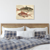 Rode Baars Visser Kunst Canvas Afdruk (Insitu (Slaapkamer))