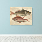 Rode Baars Visser Kunst Canvas Afdruk (Insitu (Houten vloer))