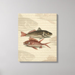 Rode Baars Visser Kunst Canvas Afdruk