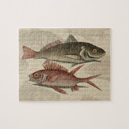 Rode Baars Visser Kunst Legpuzzel (Horizontaal)