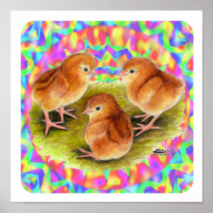 Rode Baby kippen Poster