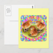 Rode babykuikens briefkaart (Voorkant / Achterkant)