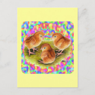 Rode babykuikens briefkaart