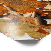 Rode Bark Foto Afdruk (Hoek)