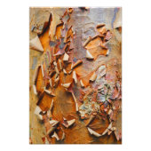 Rode Bark Foto Afdruk (Voorkant)