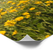 Rode Barn en gele wilde bloemen Poster (Hoek)