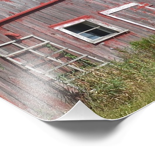 Rode barn foto afdruk (Hoek)