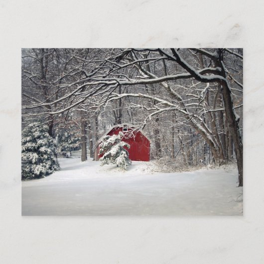 Rode Barn in de sneeuw van 2011 Briefkaart (Voorkant)