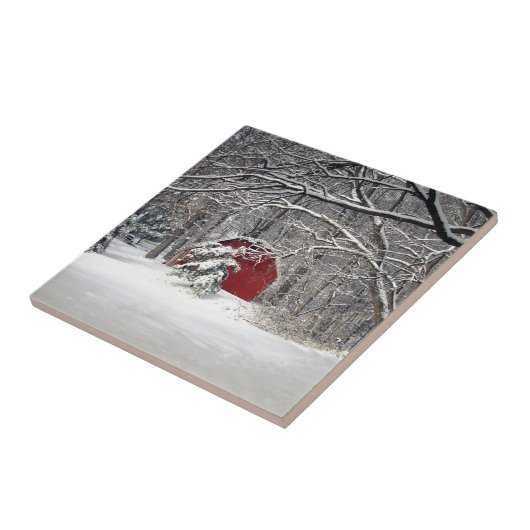 Rode Barn in de sneeuw van 2011 Tegeltje (Zijkant)