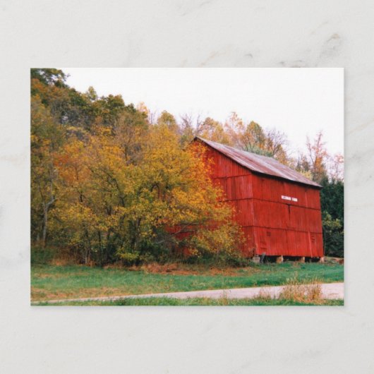 Rode Barn in Herfst Briefkaart (Voorkant)