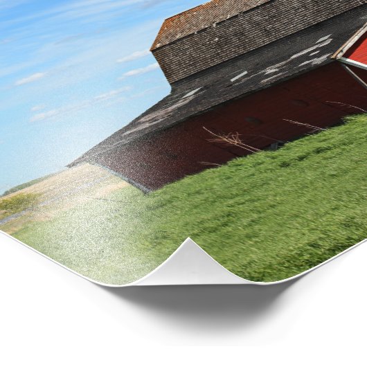 Rode Barn in SK Foto Afdruk (Hoek)