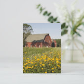 Rode Barn met gele wilde bloemen Briefkaart (Staand voorkant)