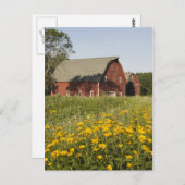 Rode Barn met gele wilde bloemen Briefkaart (Voorkant / Achterkant)