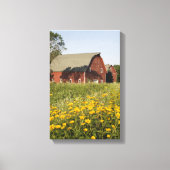 Rode Barn met gele wilde bloemen Canvas Afdruk (Voorkant)
