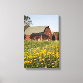 Rode Barn met gele wilde bloemen Canvas Afdruk