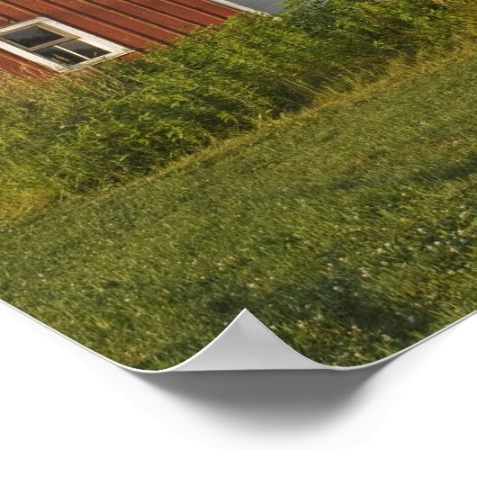 Rode Barn voorzijde Poster (Hoek)