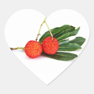 rode bayberry hart sticker