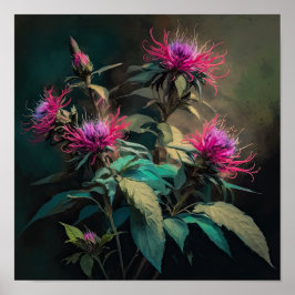 Rode Bee Balm Bloem Art Print Poster