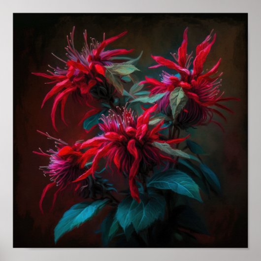 Rode Bee Balm Bloem Art Print Poster (Voorkant)